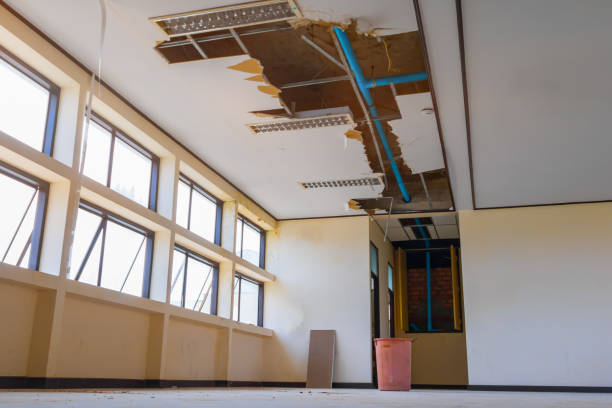 Best Local water damage restoration  in French Lick, IN