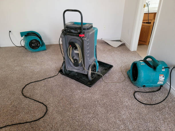 Best Water damage restoration specialists  in French Lick, IN
