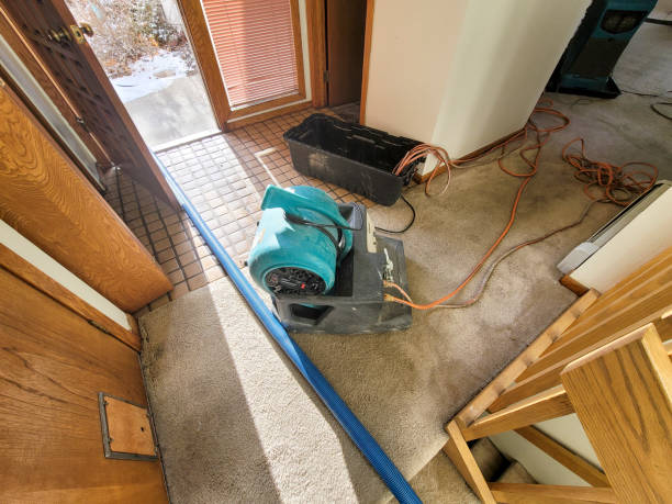 Best Ceiling water damage repair  in French Lick, IN