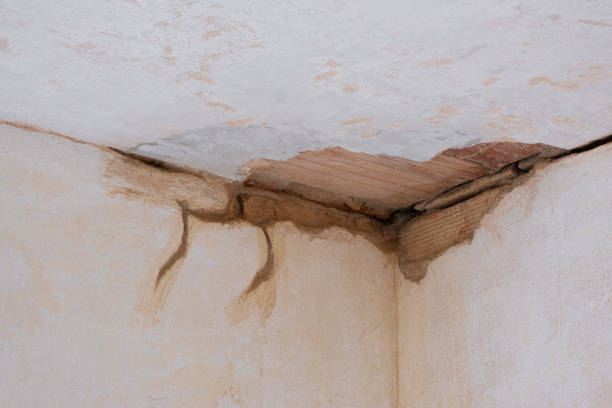 Carpet water damage restoration in French Lick, IN