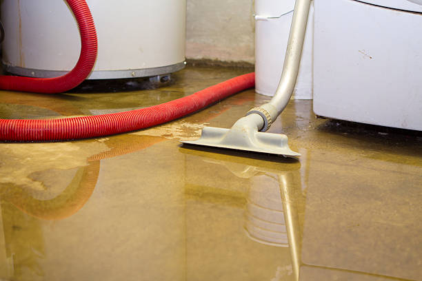 Best Basement water damage restoration  in French Lick, IN